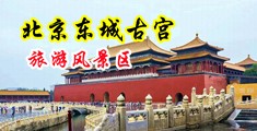 鸡把好舒服操逼视频中国北京-东城古宫旅游风景区